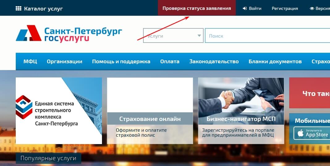 Проверка статуса обращения в МФЦ Санкт-Петербурга